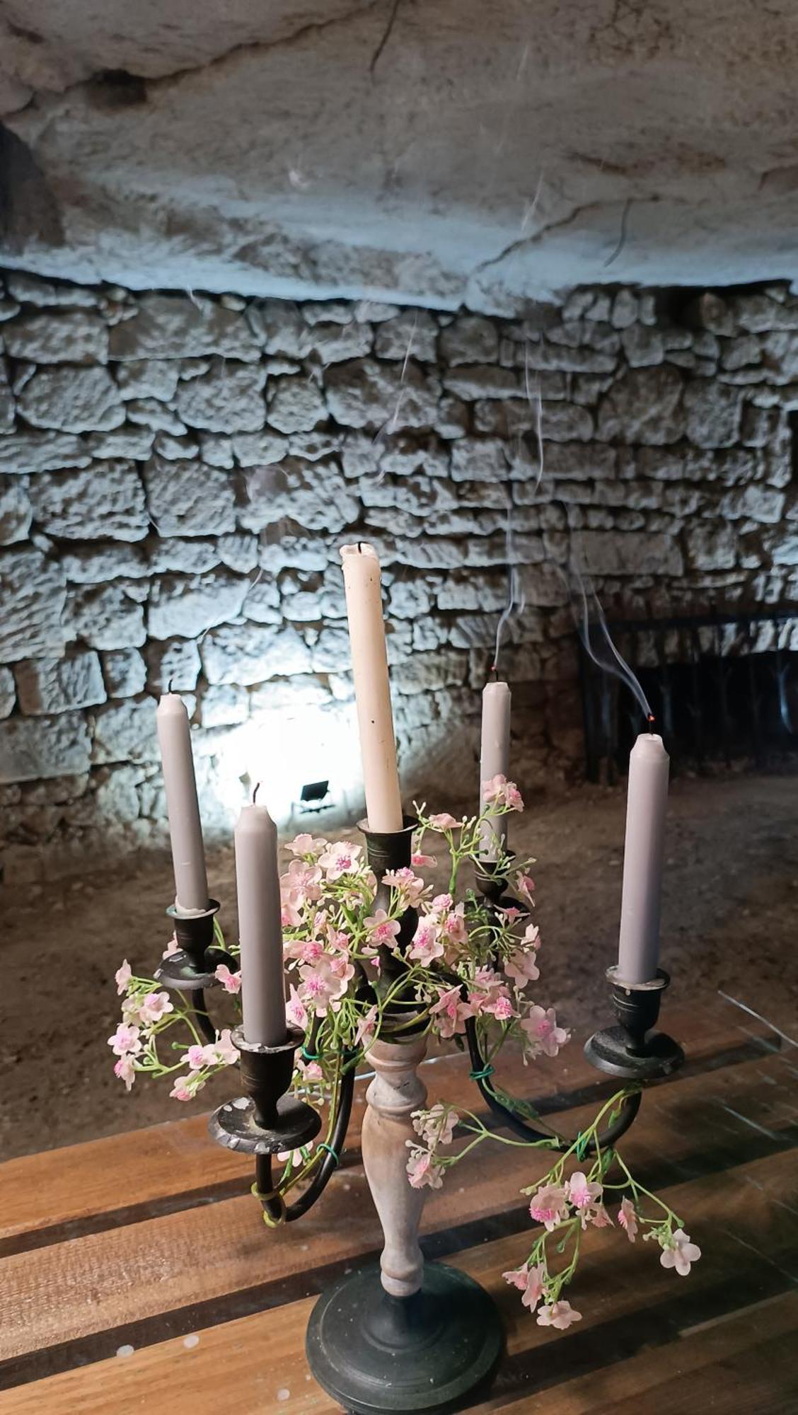 Meuble De Tourisme Petit Chail Saint Savinien ภายนอก รูปภาพ