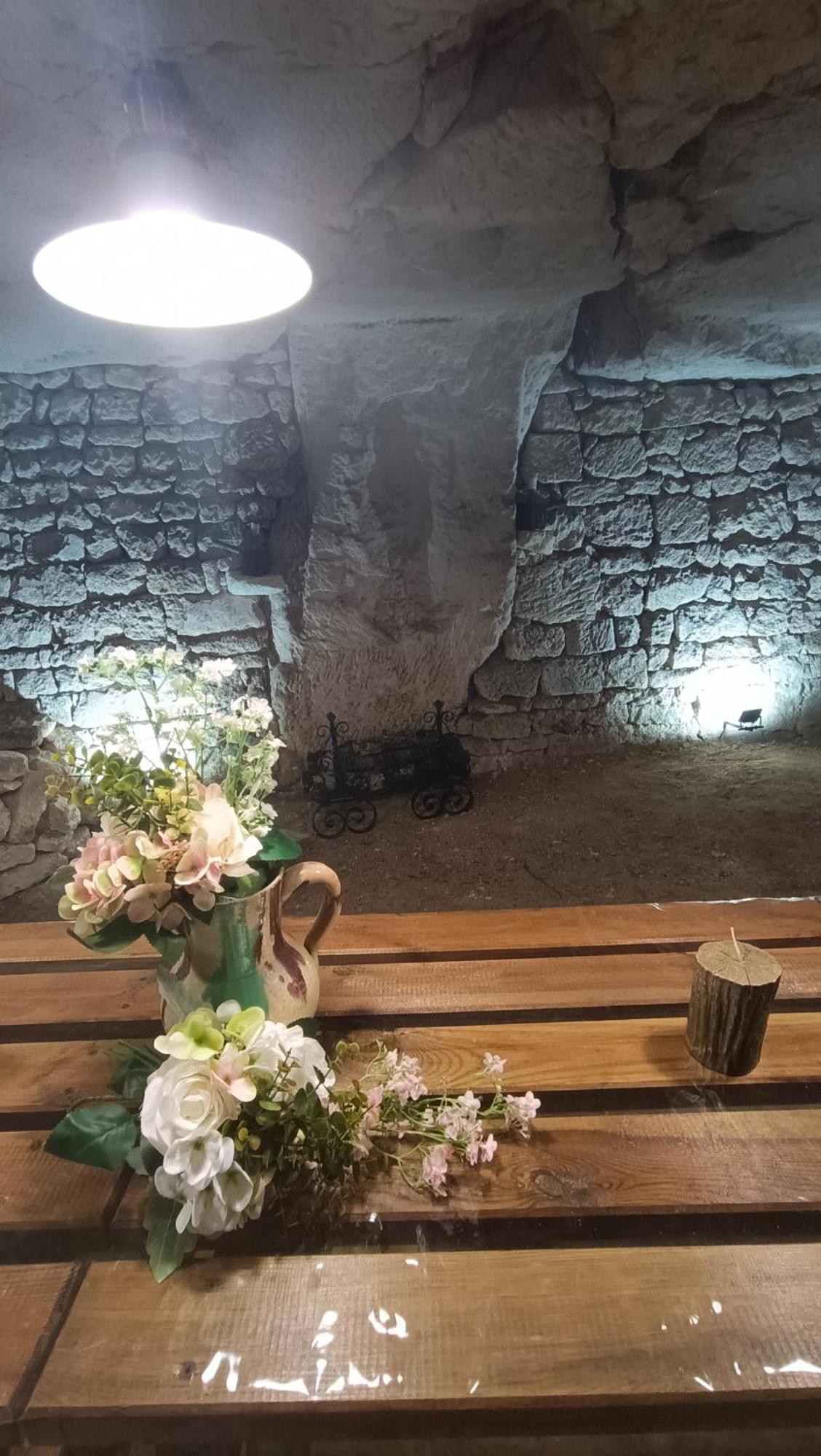 Meuble De Tourisme Petit Chail Saint Savinien ภายนอก รูปภาพ